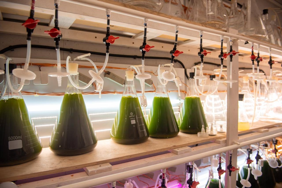 Глава Минобрнауки Валерий Фальков оценил развитие научно-образовательной сферы Севастополя