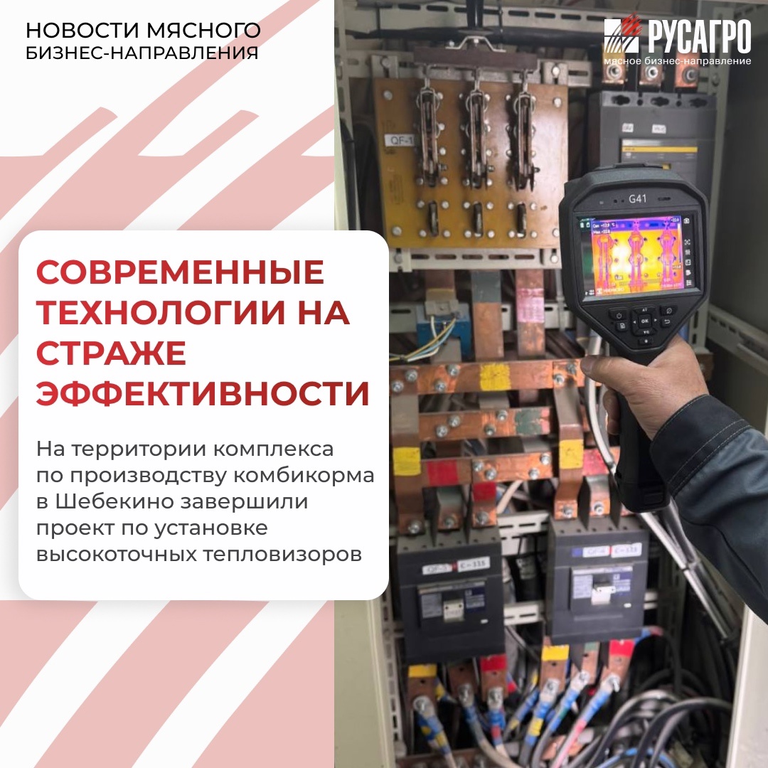 Мясной бизнес «Русагро» активно внедряет инновационные решения, которые направлены на повышение технологичности производственных процессов