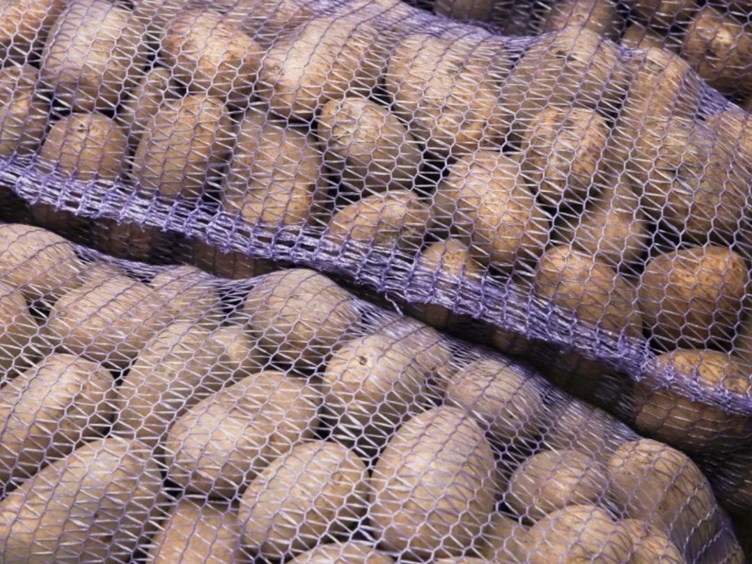 Минпромторг и торговые сети предлагают установить механизм, фиксирующий диапазон цен от минимальной до максимальной («вилку» цен) не только на овощи…