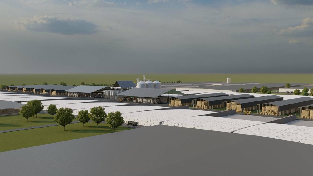 АПХ «Зеленая Долина» заложила первый камень в строительство животноводческого комплекса под Сергиевым Посадом, сообщил губернатор Московской области Андрей…