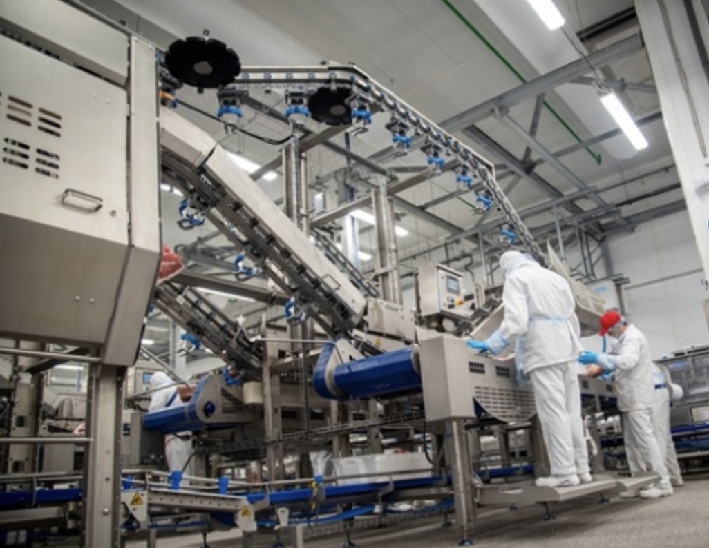 «Агроэко» сообщила, что завершила разработку стратегии цифровой трансформации. Ее реализация поможет холдингу ускорить рост и укрепить свои позиции среди…