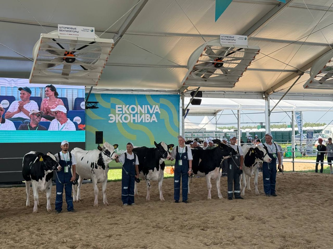 В Казани продолжает работу Международная агропромышленная выставка «Агроволга-2025».