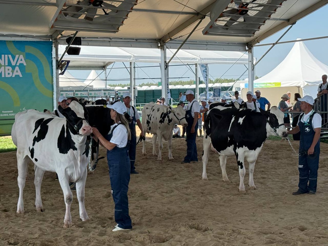 В Казани продолжает работу Международная агропромышленная выставка «Агроволга-2025».