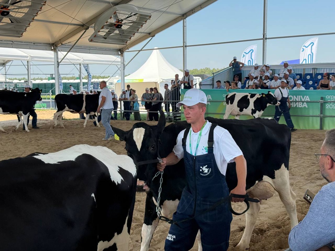 В Казани продолжает работу Международная агропромышленная выставка «Агроволга-2025».