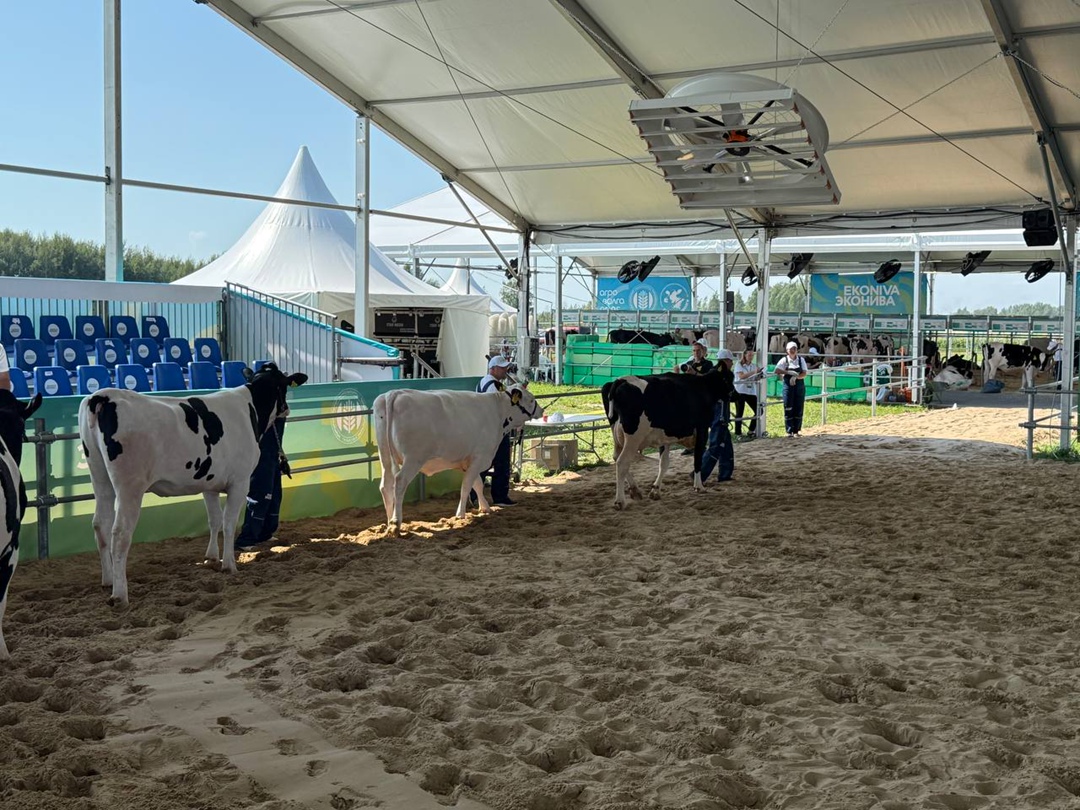 В Казани продолжает работу Международная агропромышленная выставка «Агроволга-2025».