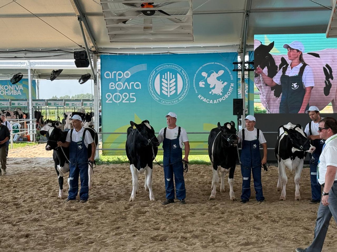 В Казани продолжает работу Международная агропромышленная выставка «Агроволга-2025».
