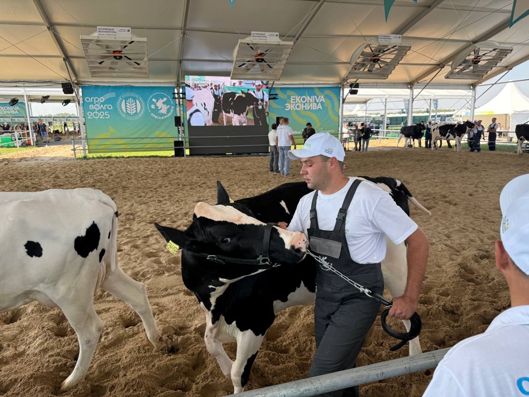 В Казани продолжает работу Международная агропромышленная выставка «Агроволга-2025».