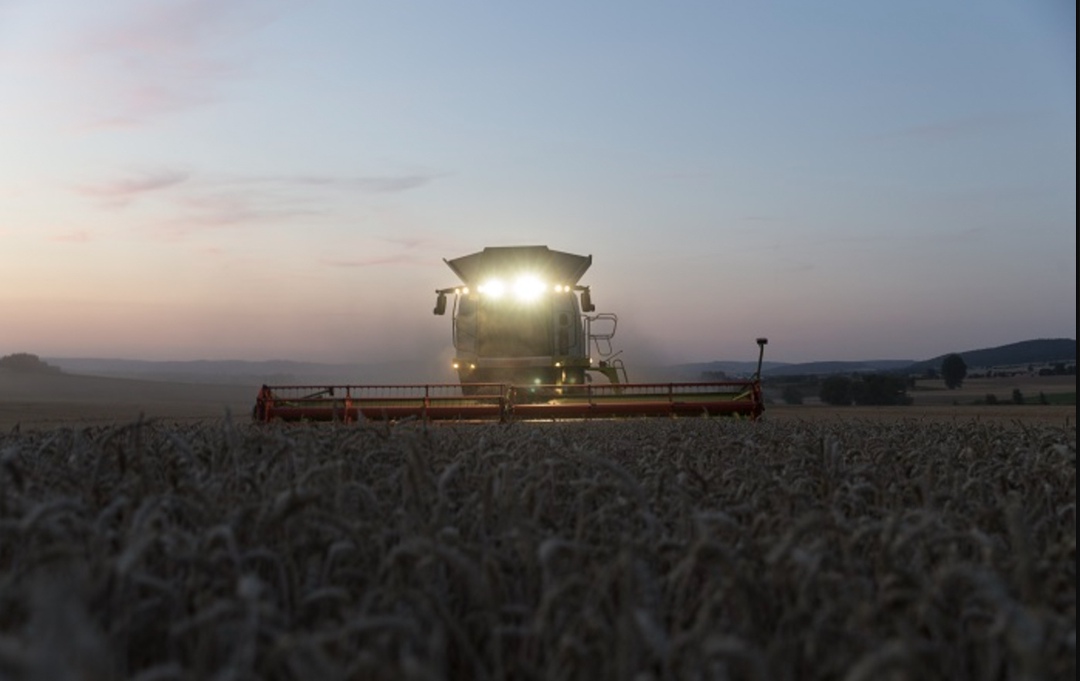 В июле экспорт российской пшеницы может не превысить 2 млн т, пишет «Коммерсантъ» со ссылкой на гендиректора Института конъюнктуры аграрного рынка Дмитрия…