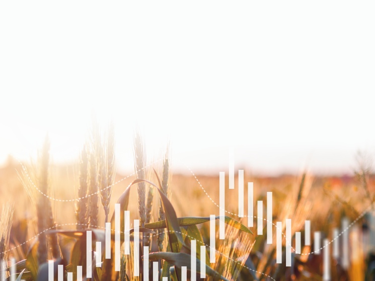 Стимулы вместо принуждения. Чем биржевая торговля сельхозпродукцией может быть интересна бизнесу — Журнал «Агроинвестор»