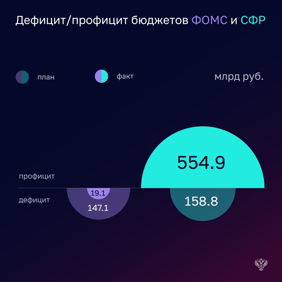 По итогам проверки отчетность об исполнении бюджетов ФОМС и СФР признана достоверной