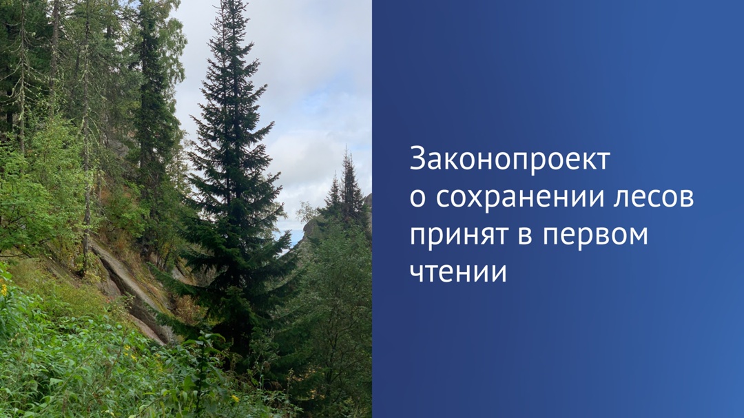 В первом чтении принят законопроект (, который устанавливает более строгие правила использования лесных земель для строительства гидротехнических сооружений.