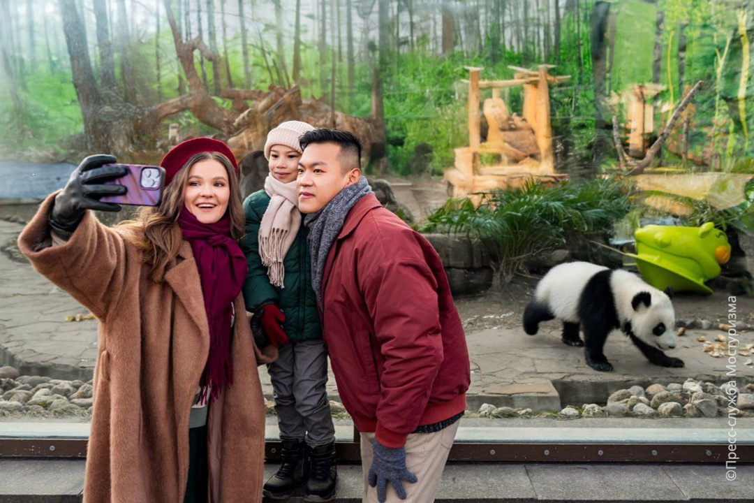 Дмитрий Чернышенко: 940 тыс. иностранных туристов посетили Россию, воспользовавшись электронной визой