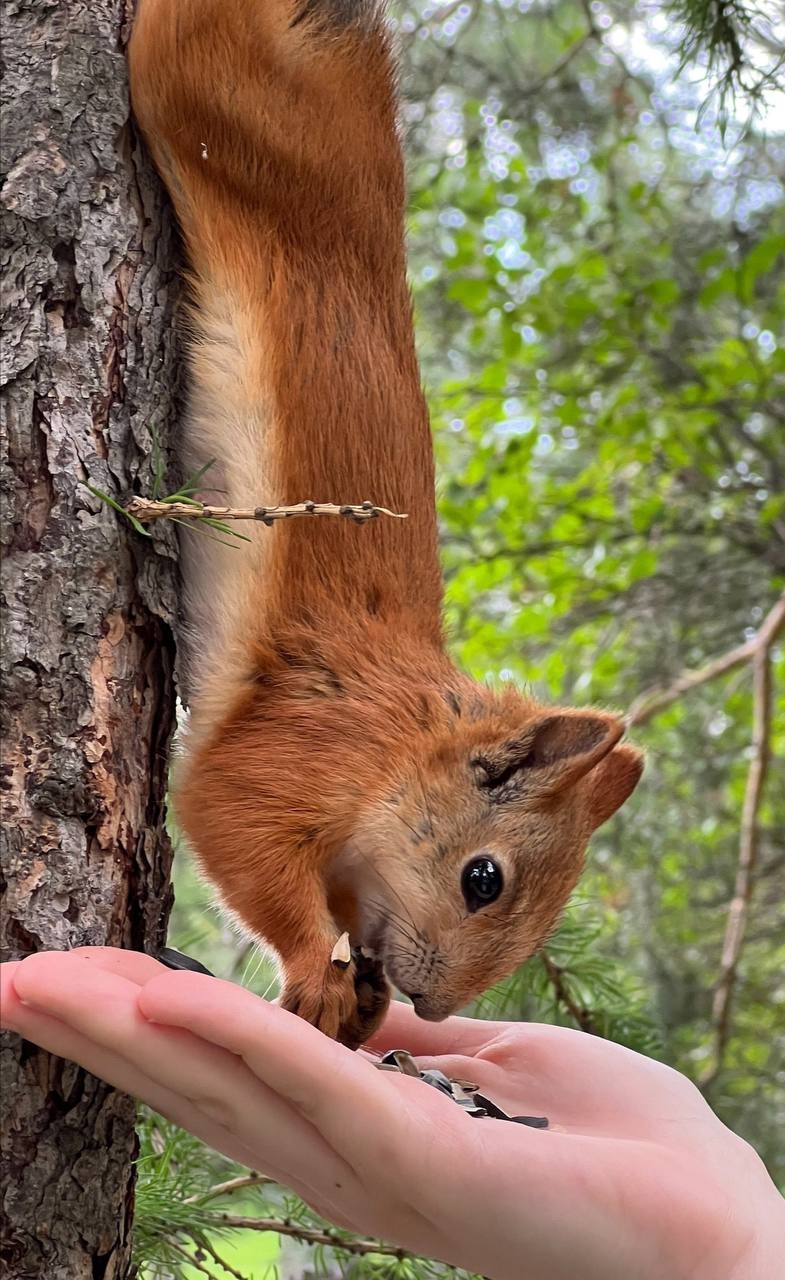 Едем в горы с комфортом и без суеты