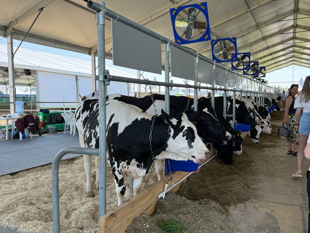 За три дня работы выставку «Агроволга 2025» посетили около 13,2 тыс. человек из 28 стран и 81 региона России. Среди гостей — аграрии, эксперты, представители…