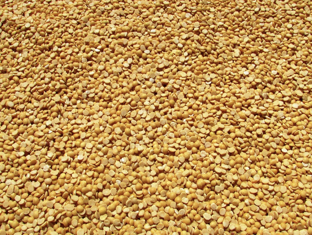 По информации Russian Pulses Analytics, экспортные цены на бобовые – на горох, нут и чечевицу - с февраля 2024-го по июнь 2025-го преимущественно снижались,…