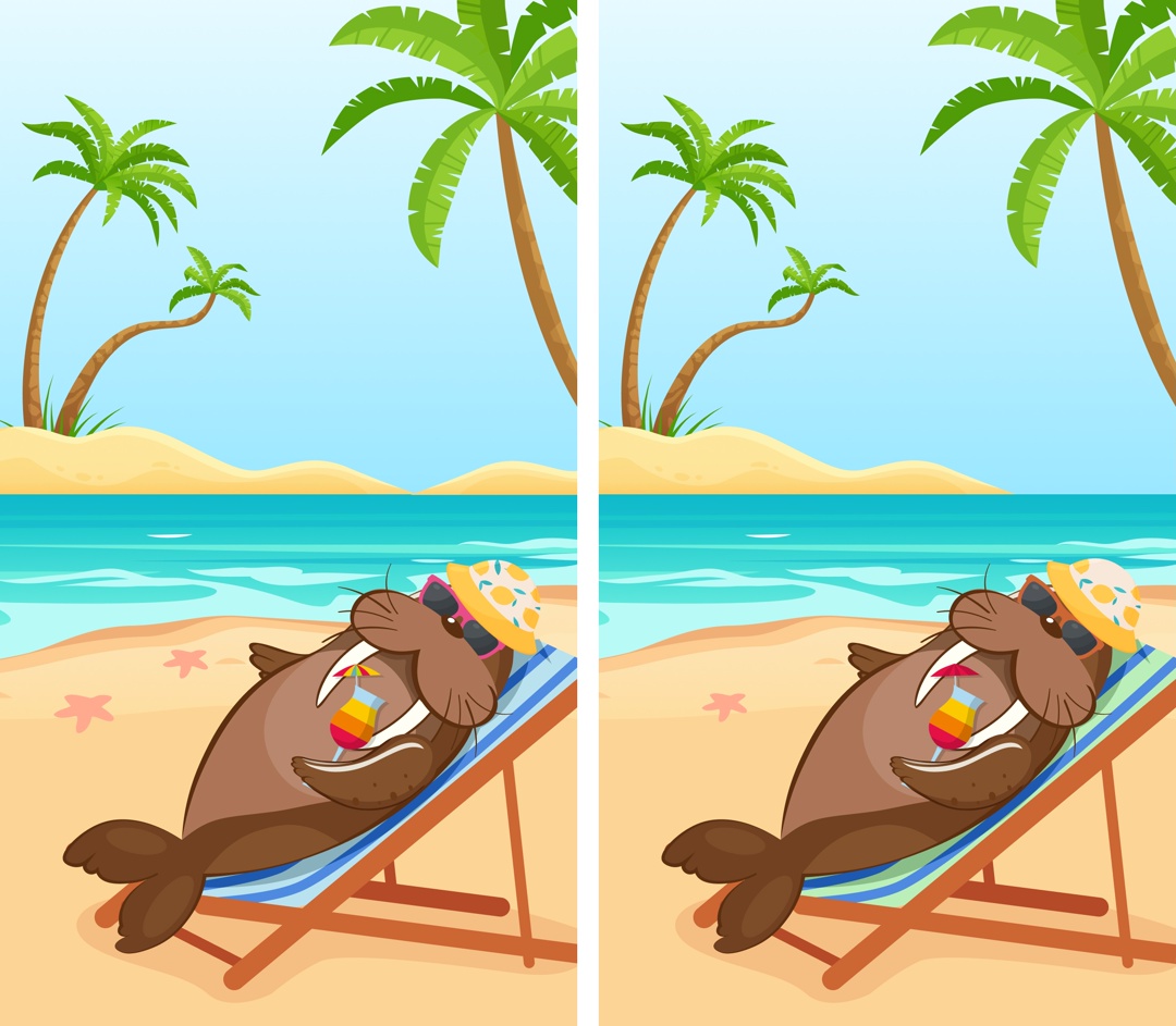 Лето в самом разгаре! Даже арктический морж решил отправиться в отпуск и погреться на солнышке