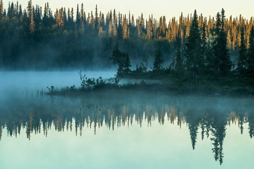 Природа как она есть Предлагаем отдохнуть от суеты и рутины — и на минутку перенестись в Лапландский заповедник