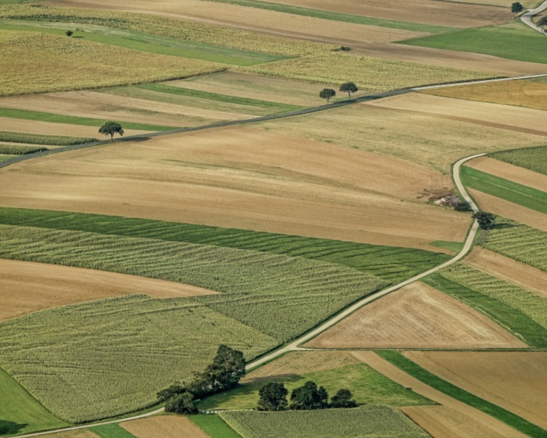 Свыше 2 млн га земель введено в оборот благодаря мероприятиям госпрограммы «Земля», сообщил вице-премьер Дмитрий Патрушев на заседании правительственной…