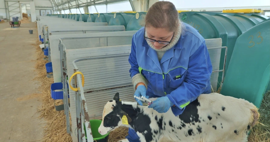 По оценкам аналитиков электронной торговой площадки «ТендерПро», за год спрос на отечественные ветеринарные препараты со стороны бизнеса в среднем вырос на…