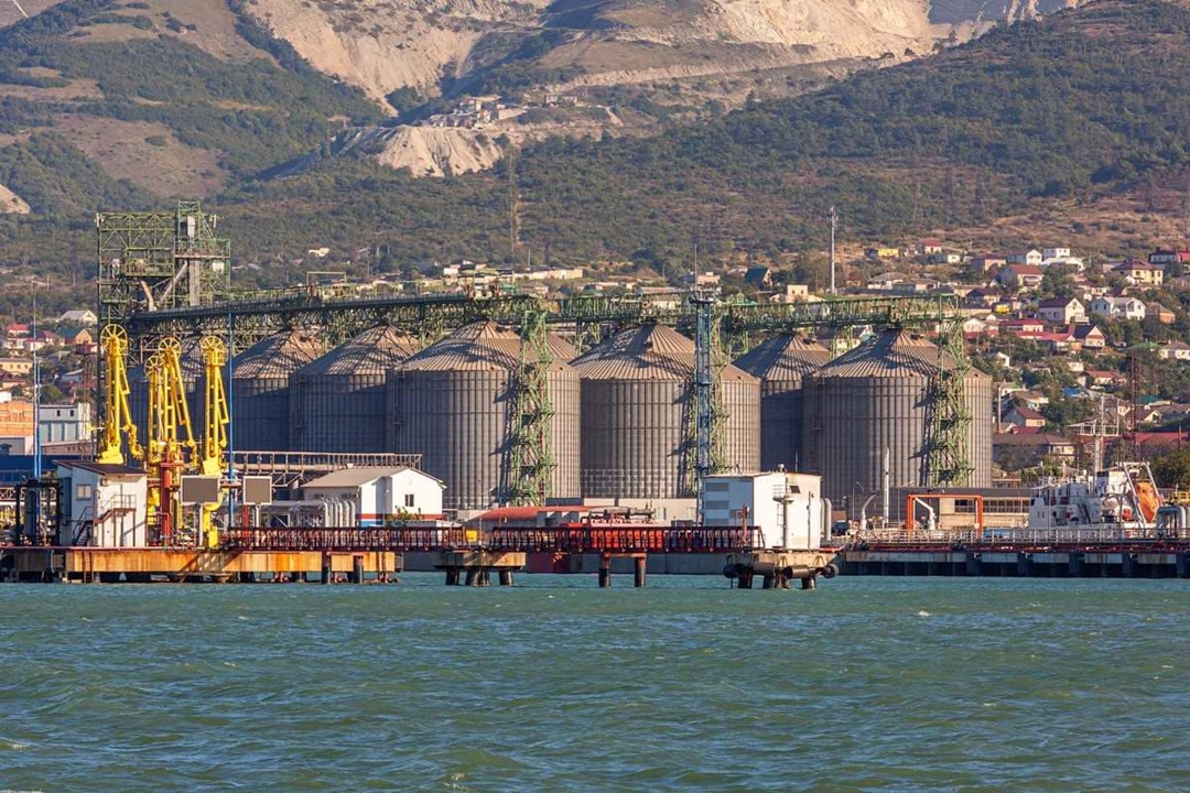 Новороссийский Зерновой Терминал (НЗТ, входит в «Деметра-Холдинг»«Деметра-Холдинг») по итогам сезона-2024/25 вошел в тройку лидеров среди портовых операторов…