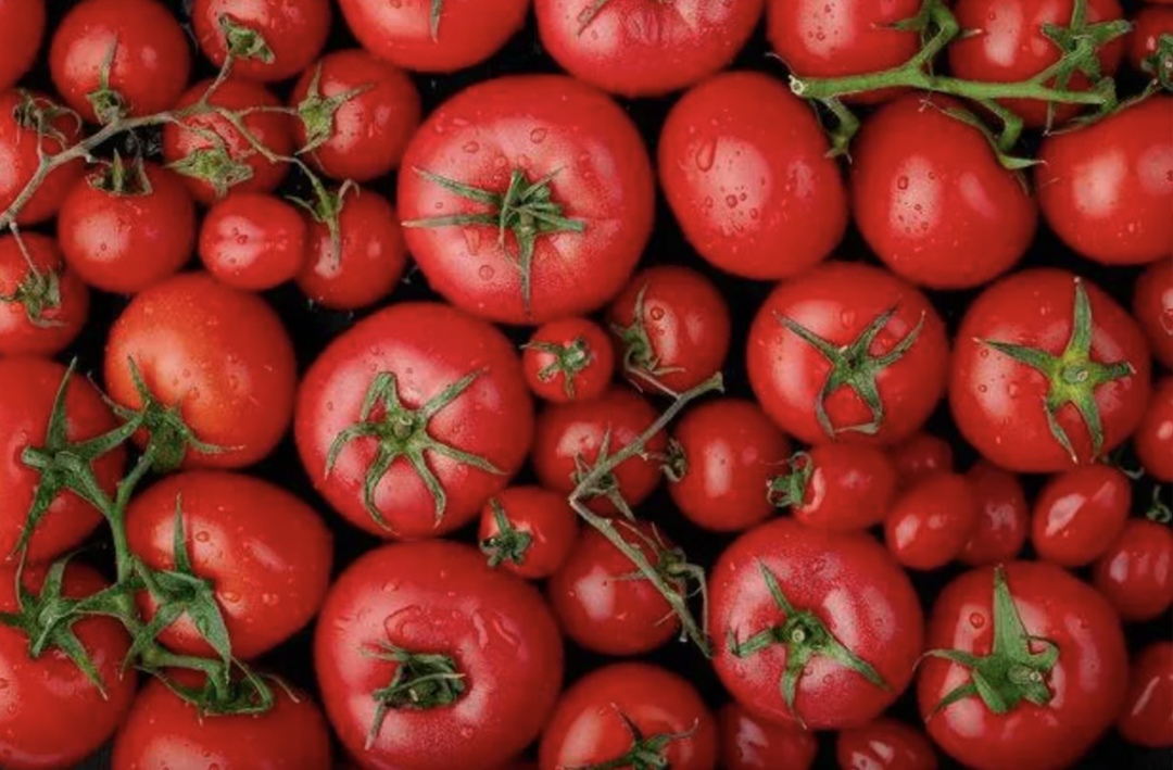 Цены на томаты в июне упали на 14,5% за счет увеличения производства в закрытом грунте. Всего в первом полугодии в тепличных хозяйствах было собрано 370 тыс. т…