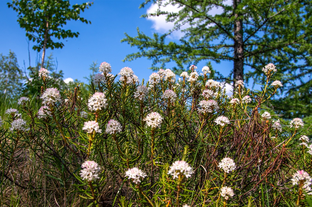 Полдень и полночь меняются местами, но на фото разница почти не уловима