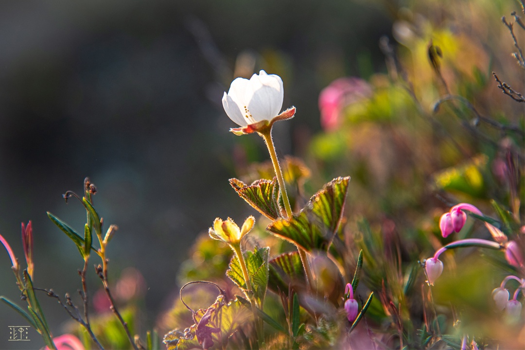 Полдень и полночь меняются местами, но на фото разница почти не уловима