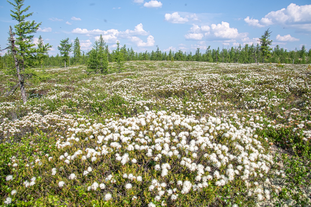 Полдень и полночь меняются местами, но на фото разница почти не уловима