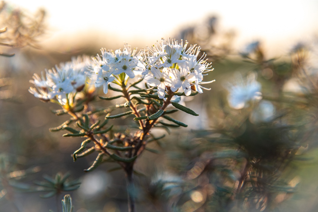 Полдень и полночь меняются местами, но на фото разница почти не уловима