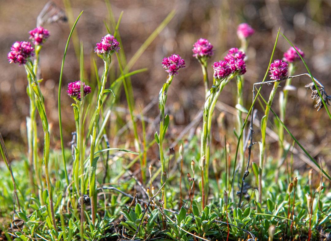Полдень и полночь меняются местами, но на фото разница почти не уловима
