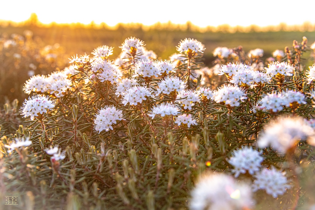 Полдень и полночь меняются местами, но на фото разница почти не уловима