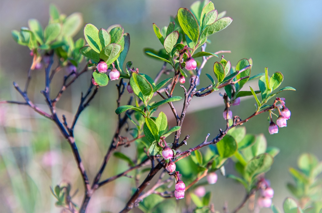 Полдень и полночь меняются местами, но на фото разница почти не уловима