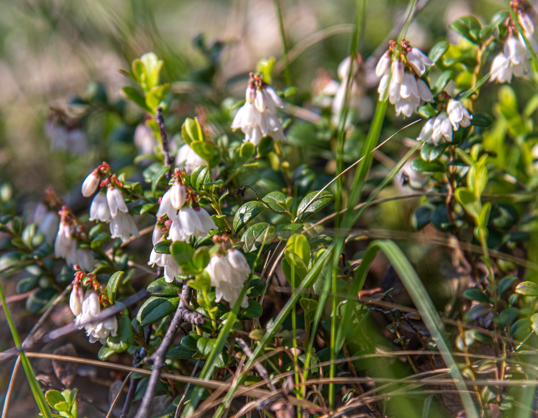 Полдень и полночь меняются местами, но на фото разница почти не уловима