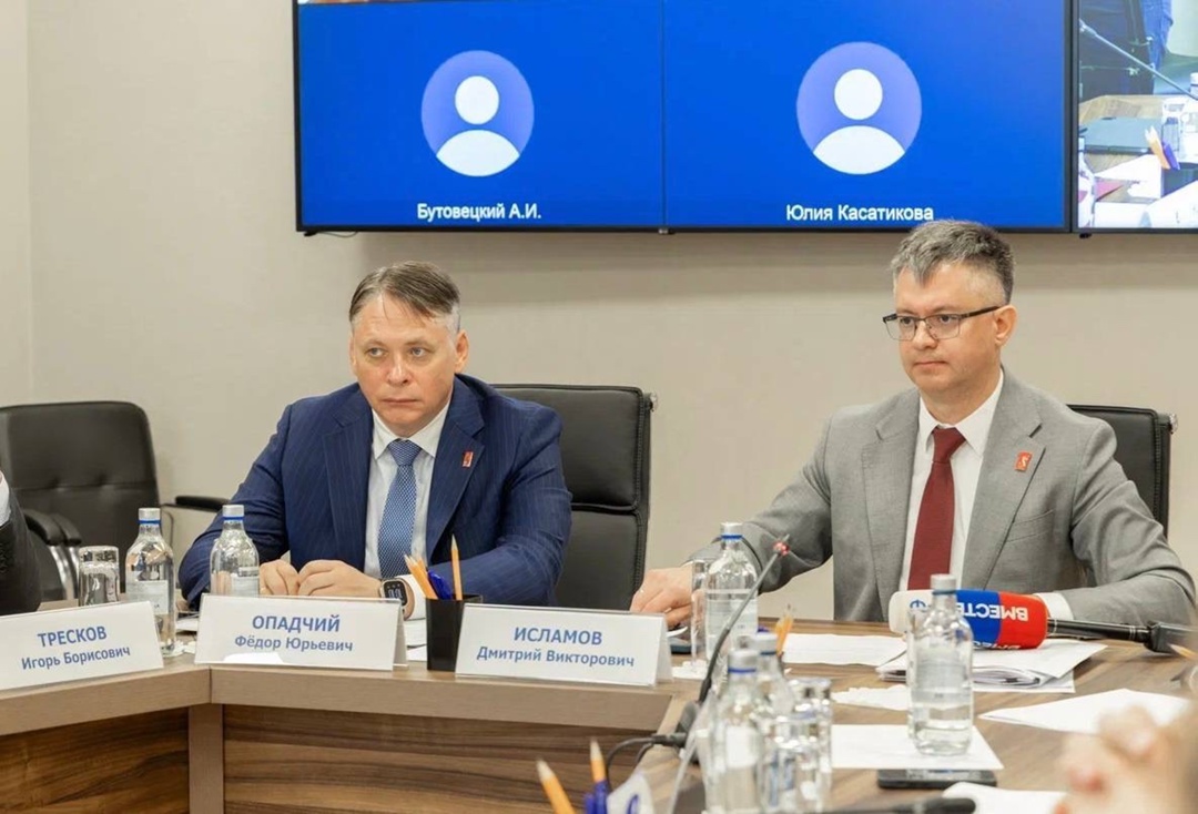 Министерство энергетики приняло участие в заседании комитета Совета Федерации по экономической политике