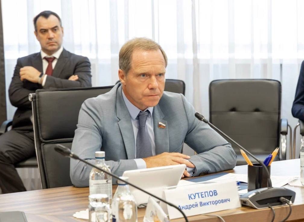 Министерство энергетики приняло участие в заседании комитета Совета Федерации по экономической политике