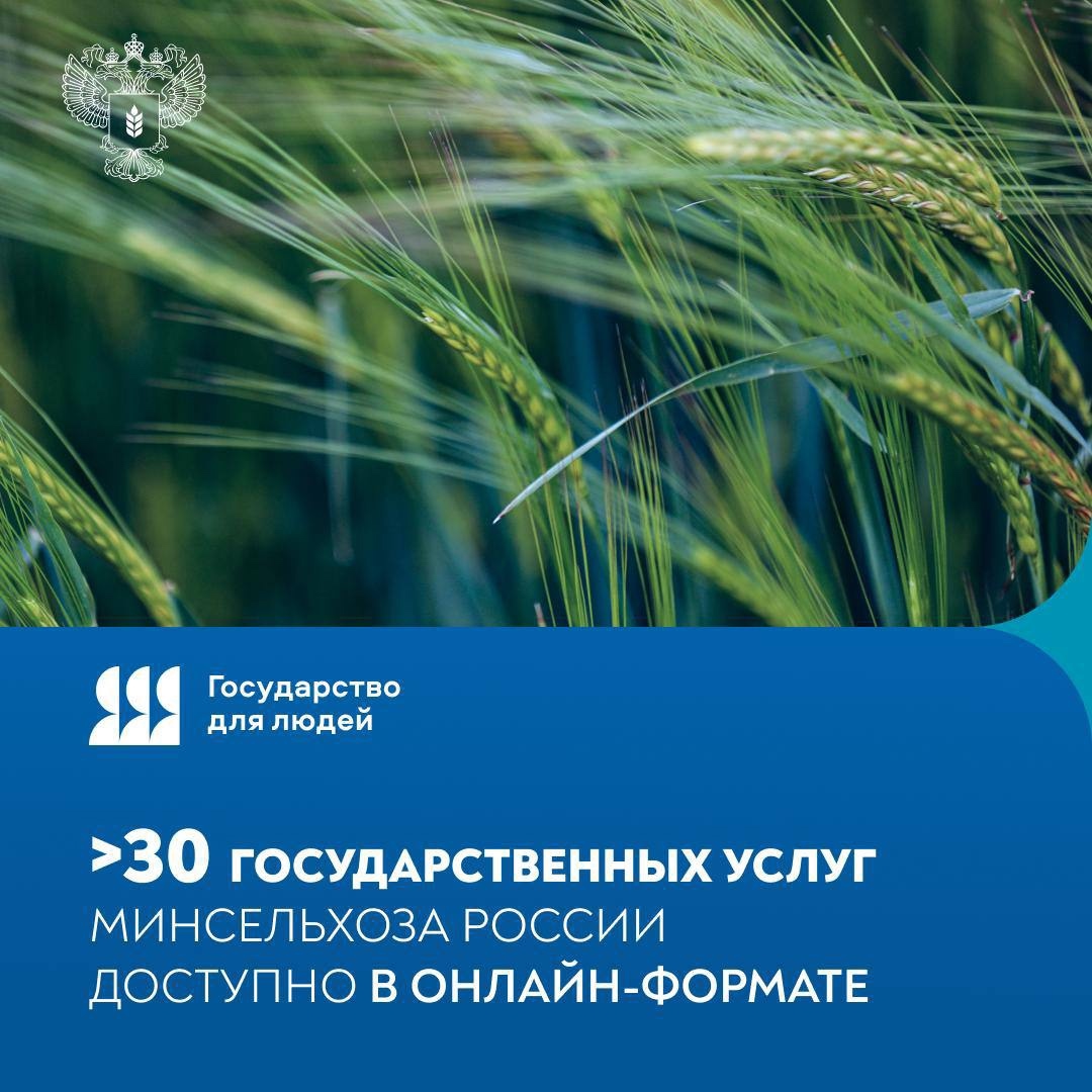 Все легко и просто! Если вы не знали, какие именно государственные услуги оказывает Минсельхоз России – и как ими воспользоваться, самое время разобраться.