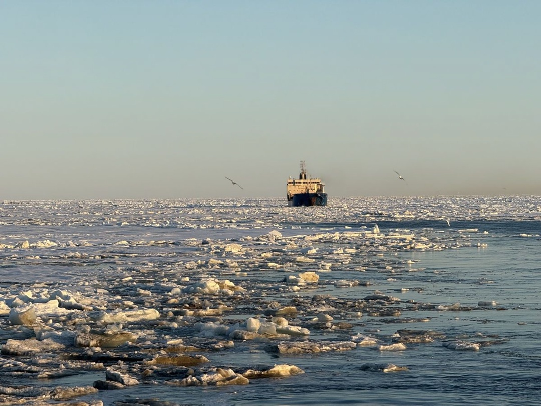Атомный ледокол «Вайгач» обеспечил первую в этом году проводку каравана судов на восток. 13 июля у мыса Дежнева ледокол завершил проводку двух танкеров,…
