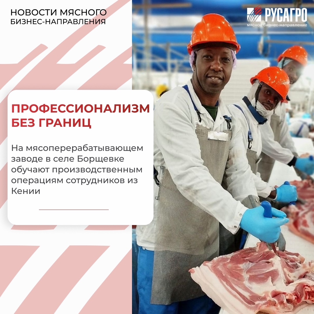 Мясной бизнес «Русагро» продолжает стратегическую работу по развитию кадрового потенциала, открывая новые возможности для специалистов со всего мира