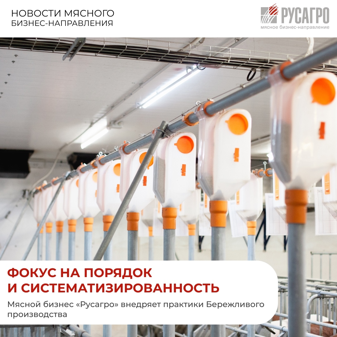Мясной бизнес «Русагро» продолжает формировать современную культуру труда, делая особый акцент на порядок, эффективность и постоянное совершенствование