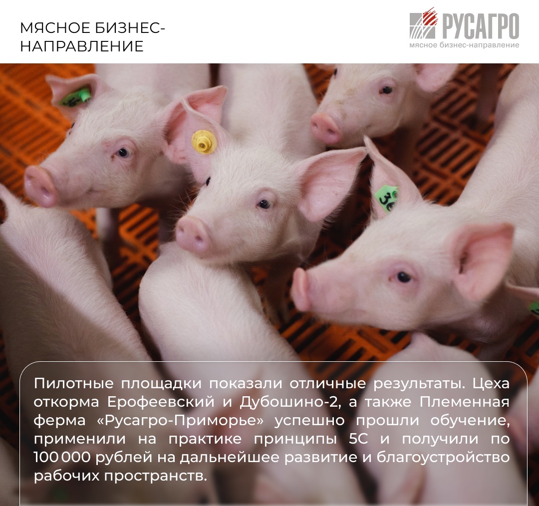 Мясной бизнес «Русагро» продолжает формировать современную культуру труда, делая особый акцент на порядок, эффективность и постоянное совершенствование