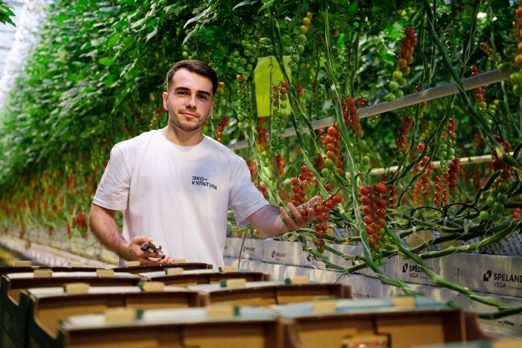 Кадровый агропотенциал. Роль государства и бизнеса в решении проблемы дефицита персонала — Журнал «Агроинвестор»