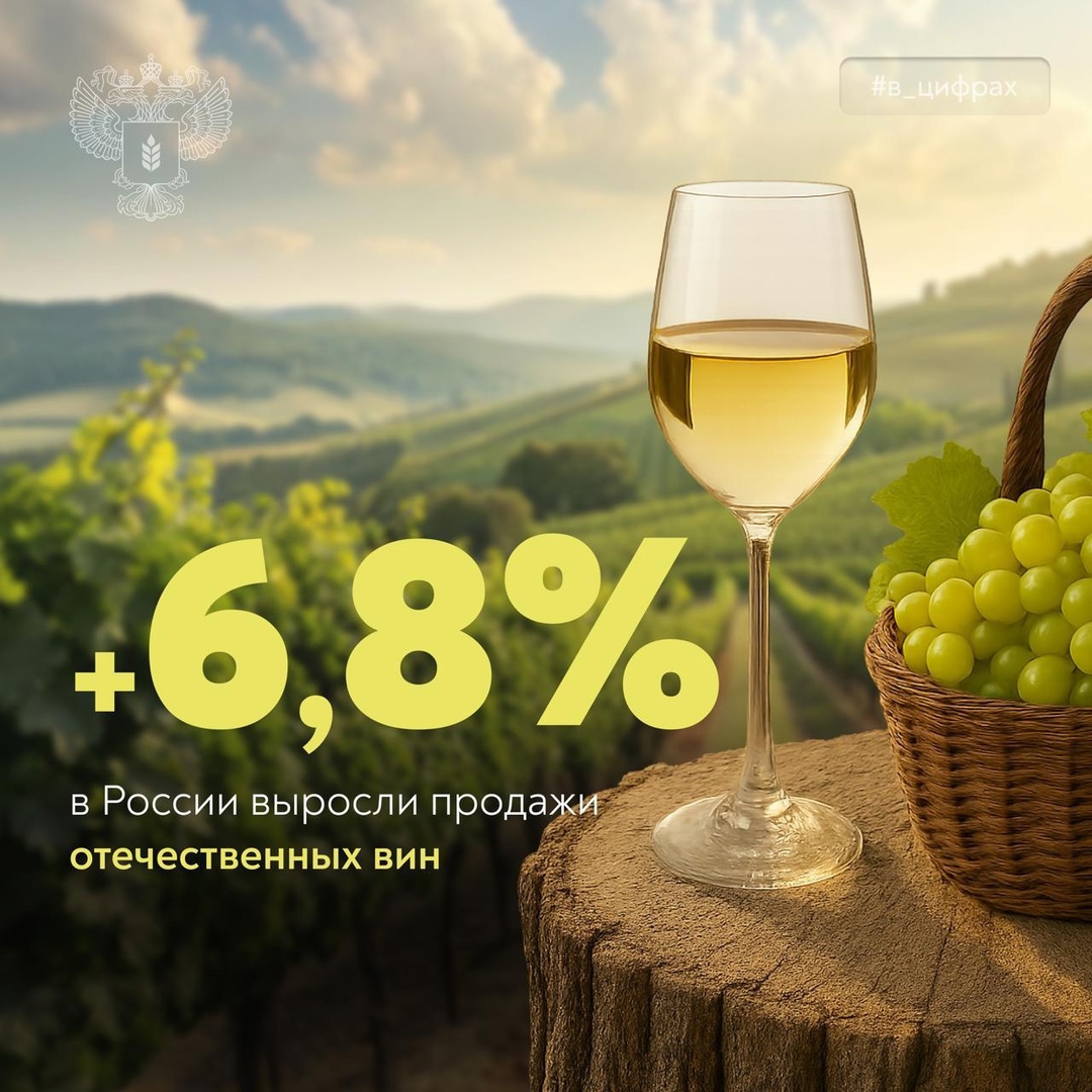 За полгода в России продано 37,3 млн декалитров вина