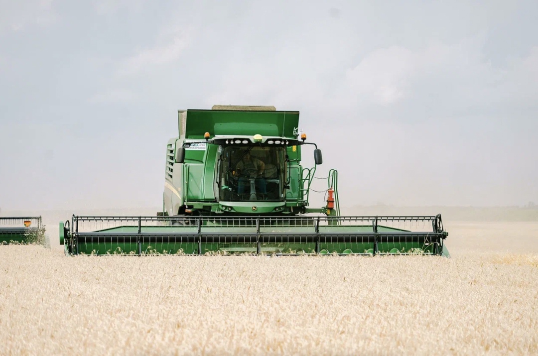 Аналитическая компания «ПроЗерно» понизила прогноз урожая зерна на 1 млн т, до 129,4 млн т, в том числе пшеницы – на 0,5 млн т, до 82,5 млн т