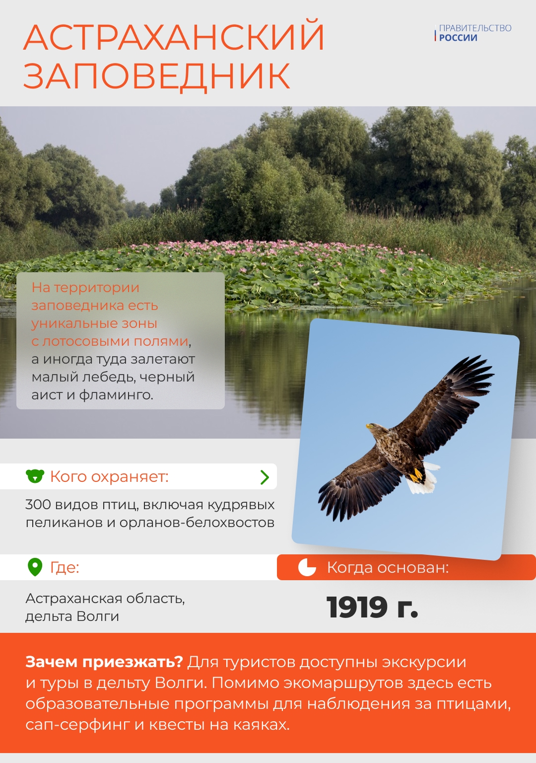 В России особо охраняемые природные территории, в том числе национальные парки и заповедники, занимают около 14% страны.