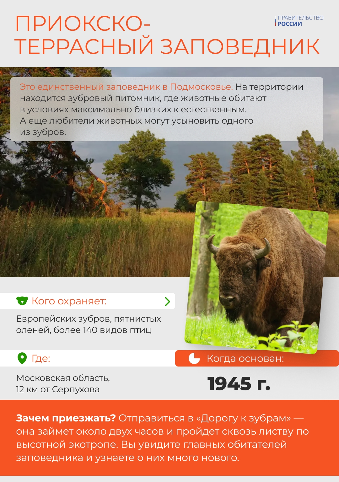 В России особо охраняемые природные территории, в том числе национальные парки и заповедники, занимают около 14% страны.