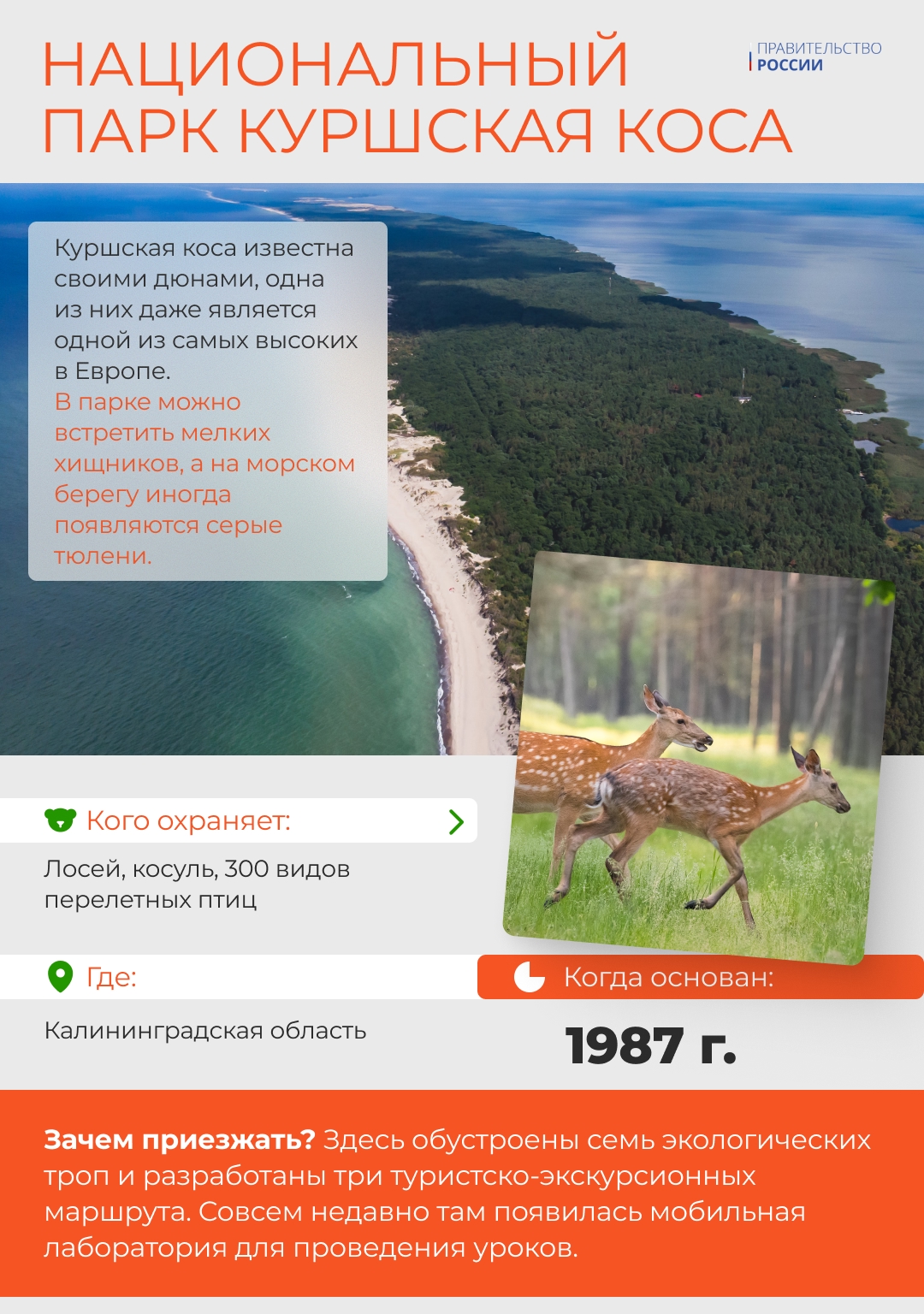 В России особо охраняемые природные территории, в том числе национальные парки и заповедники, занимают около 14% страны.