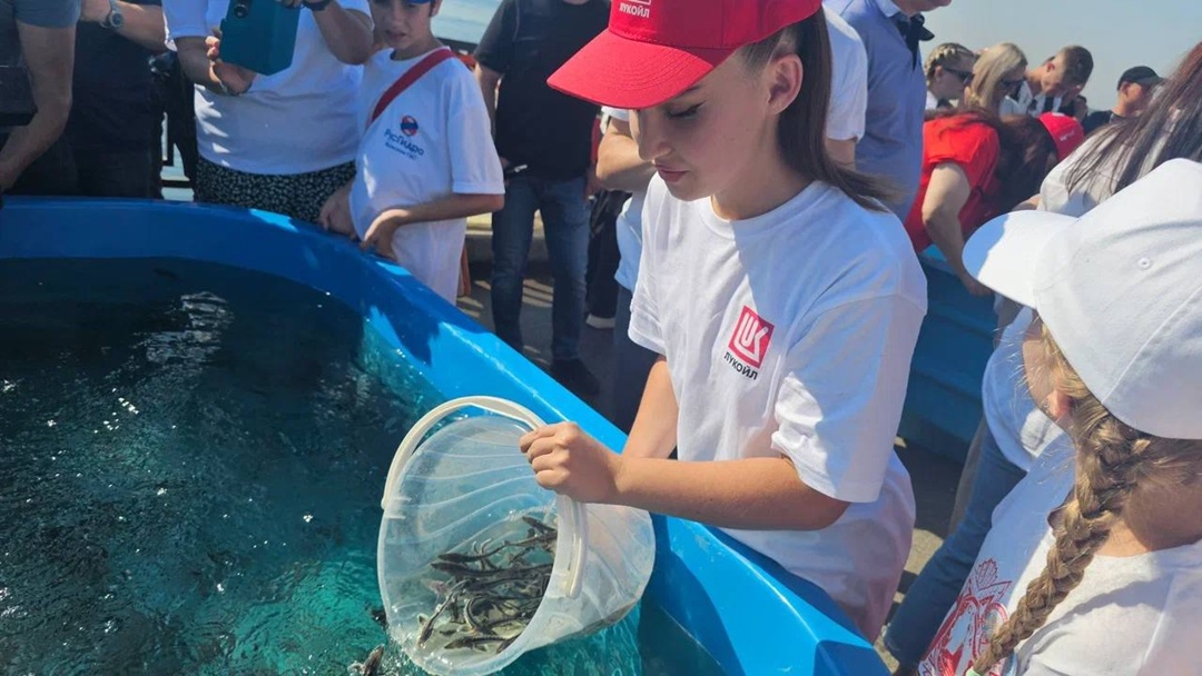 Рыбы Ледникового периода тысячи мальков русского осетра выпустили в Волгу нефтепереработчики ЛУКОЙЛа и жители Волгограда.
