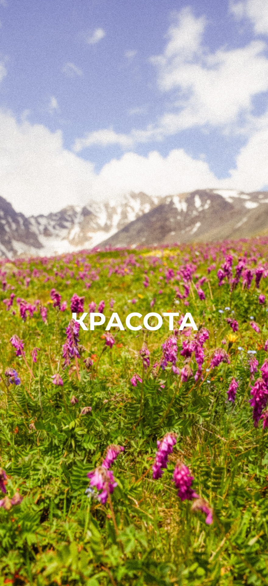 Пока вы не в горах, пусть они вдохновляют вас с экрана