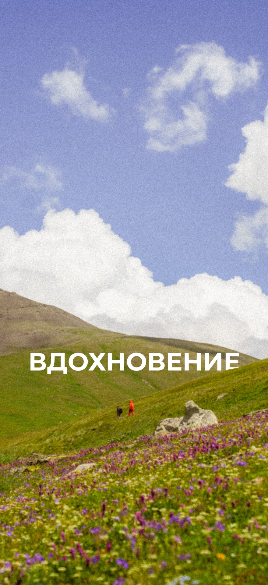 Пока вы не в горах, пусть они вдохновляют вас с экрана