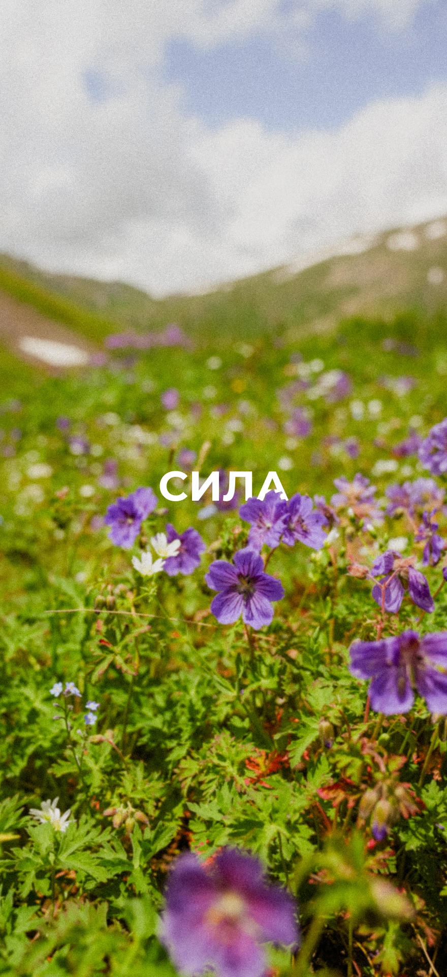 Пока вы не в горах, пусть они вдохновляют вас с экрана